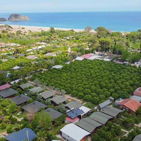 Cirali Zakkum Bungalow Kültér fotó